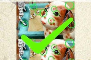 最囧游戏2第22关通关秘诀让所有盘子都盛放草莓的实用技巧与步骤详解