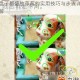 最囧游戏2第22关通关秘诀让所有盘子都盛放草莓的实用技巧与步骤详解