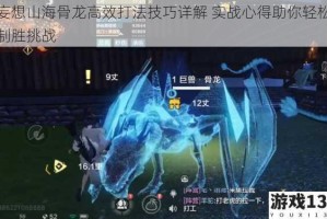 妄想山海骨龙高效打法技巧详解 实战心得助你轻松制胜挑战