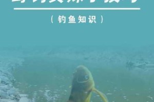 四季物语钓鱼技巧分享及钓鱼刷新时间详细介绍