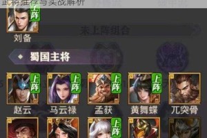 少年三国志零巅峰输出阵容搭配指南战力爆发核心武将推荐与实战解析