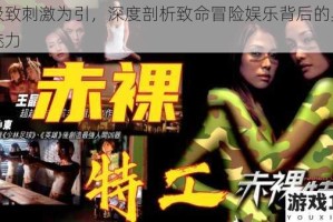 以极致刺激为引，深度剖析致命冒险娱乐背后的奥秘与魅力