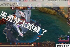 决战平安京新版反野实战教学从入门到精通全面掌握反野核心技巧