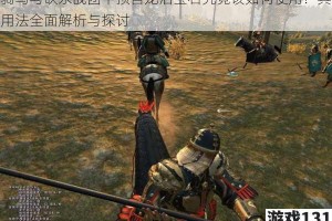 骑马与砍杀战团中预言龙泪宝石究竟该如何使用？其用法全面解析与探讨
