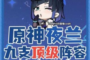 原神夜兰搭配雷神国家队的详细攻略及实用技巧