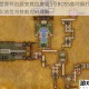 魔兽世界怀旧服安其拉废墟3号BOSS莫阿姆打法攻略团队站位与技能应对详解