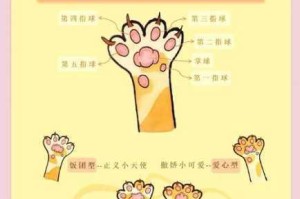 收纳物语第八关猫猫肉垫通关技巧详解 轻松掌握按压步骤与摆放攻略