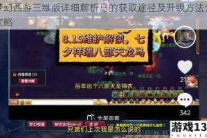 梦幻西游三维版详细解析马的获取途径及升级方法全攻略