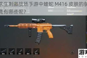 绝地求生刺激战场手游中蝰蛇 M416 皮肤的获取方式究竟有哪些呢？