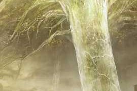 艾尔登法环黄金树立誓效果详解攻击防御提升机制与实战应用解析