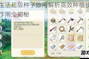 小森生活超级种子妙用解析高效种植技巧与核心作用全揭秘