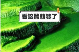 十里桃花守卫炎华洞玩法全攻略：如何玩转守卫炎华洞？