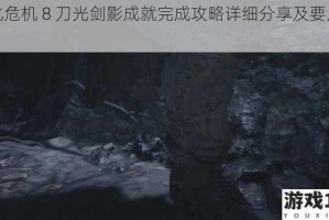 生化危机 8 刀光剑影成就完成攻略详细分享及要点解析