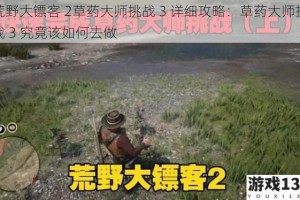 荒野大镖客 2草药大师挑战 3 详细攻略：草药大师挑战 3 究竟该如何去做