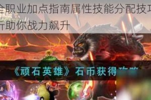 顽石英雄全职业加点指南属性技能分配技巧与实战搭配深度解析助你战力飙升