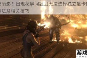 古墓丽影 9 出现花屏问题且无法选择独立显卡的解决方法及相关技巧