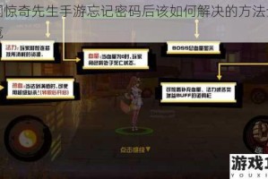 中国惊奇先生手游忘记密码后该如何解决的方法全面一览