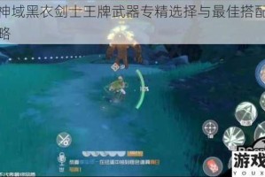 刀剑神域黑衣剑士王牌武器专精选择与最佳搭配推荐全攻略