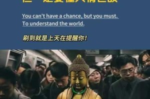 分享这就是江湖圆转筋骨棍过百花的独特经历与心得