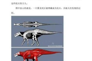恐龙进化究竟好不好玩？带你了解恐龙进化的详细简介