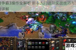 魔兽争霸3操作全解析 新手入门进阶实战技巧与对战策略详解
