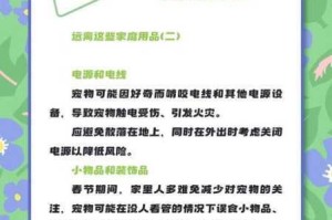 仙宠全方位养成秘籍从入门到精通深度解析仙宠培养终极指南
