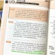 古时蛐蛐相斗制胜秘籍从挑选驯养到对战技巧全方位解析指南