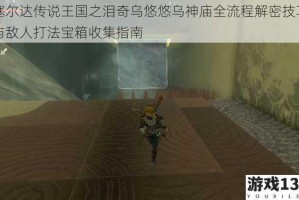 塞尔达传说王国之泪奇乌悠悠乌神庙全流程解密技巧与敌人打法宝箱收集指南