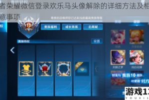 王者荣耀微信登录欢乐马头像解除的详细方法及相关注意事项