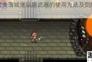 深入探讨失落城堡剑盾武器的使用方法及剑盾武器模组解析