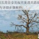 春巫2第五周目全流程完美通关路线关键选项选择与详细步骤解析