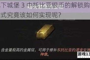 地下城堡 3 中托比亚银币的解锁购买方式究竟该如何实现呢？