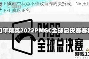 虎牙 PMGC 中状态不佳致首周周决折戟，NV 压哨吃鸡为 PEL 赛区正名