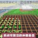繁盛农场模拟经营新纪元：打造理想田园与生态循环的创意之旅