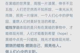 探究黑暗与光明领主在不同情境下的具体用途及其重要性