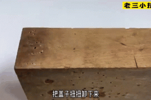 史小坑的爆笑生活 12 第 20 关通关攻略大揭秘：详细步骤与技巧分享