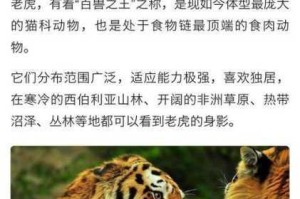召唤兽萌宠野猪图鉴：从獠牙到卷尾的奇幻战力全解析