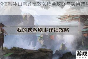 我的侠客冰山雪莲高效获取全攻略与实用技巧解析