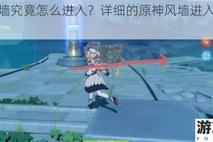 原神风墙究竟怎么进入？详细的原神风墙进入方法全面介绍