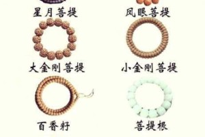 烟雨江湖中菩提子的获取途径究竟有哪些？详细攻略大揭秘