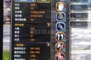 龙之谷英雄战场全攻略：从入门到精通的详细指南及技巧分享