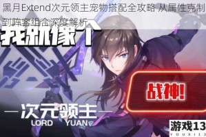 黑月Extend次元领主宠物搭配全攻略 从属性克制到阵容组合深度解析
