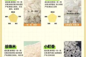 双生怨大米究竟藏于何处？大米位置全面分享大揭秘