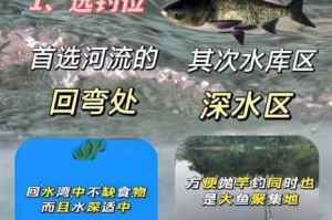 小森生活鲤鱼王垂钓攻略最佳钓点位置与技巧解析