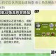 战争公约切后队阵容组建指南 核心角色搭配与实战策略解析