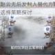 三国志战略版赵云无后发制人替代方案解析 实战阵容搭配与战法选择策略探讨