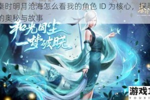 以秦时明月沧海怎么看我的角色 ID 为核心，探寻其中的奥秘与故事