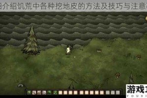 详细介绍饥荒中各种挖地皮的方法及技巧与注意事项