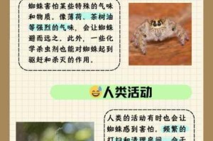 奥日 2 森林深处蜘蛛的打法攻略：详细介绍如何战胜森林深处的蜘蛛