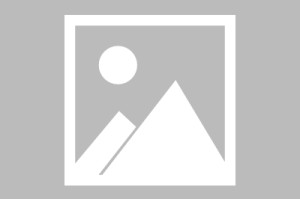 第五人格哭泣小丑究竟在求生者阵营中位居第几？深度剖析其角色定位与特点
